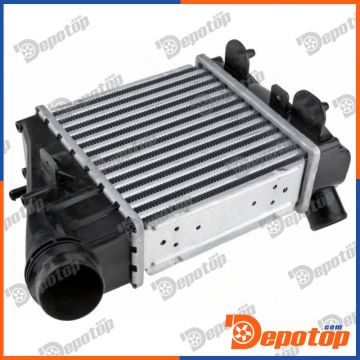 Intercooler pour RENAULT | CNG-RE-005, 30197